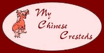 Meet some of my cresteds owned or co-owned by me.