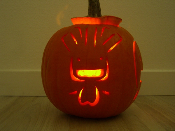 chrysongenum pumpkin