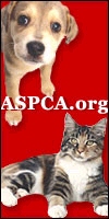 Make sure to have your cats and dogs spayed and neutered!
