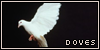 Dove Fan