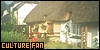 Irish Culture Fan