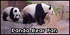 Panda Fan
