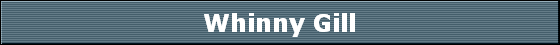 Whinny Gill
