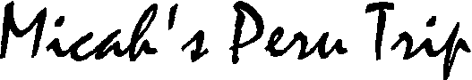 Micah's Peru Trip Logo