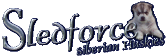 Welcome to Sledforce Siberians