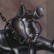 Fox in Full Rubber and FunnelHood