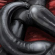 Black Rubber Fox Suit