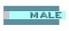 To Male Av Menu...will open in a new window!!!!