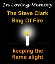 The Steve Clark Ring Of Fire - Keeping The Flame Alight
