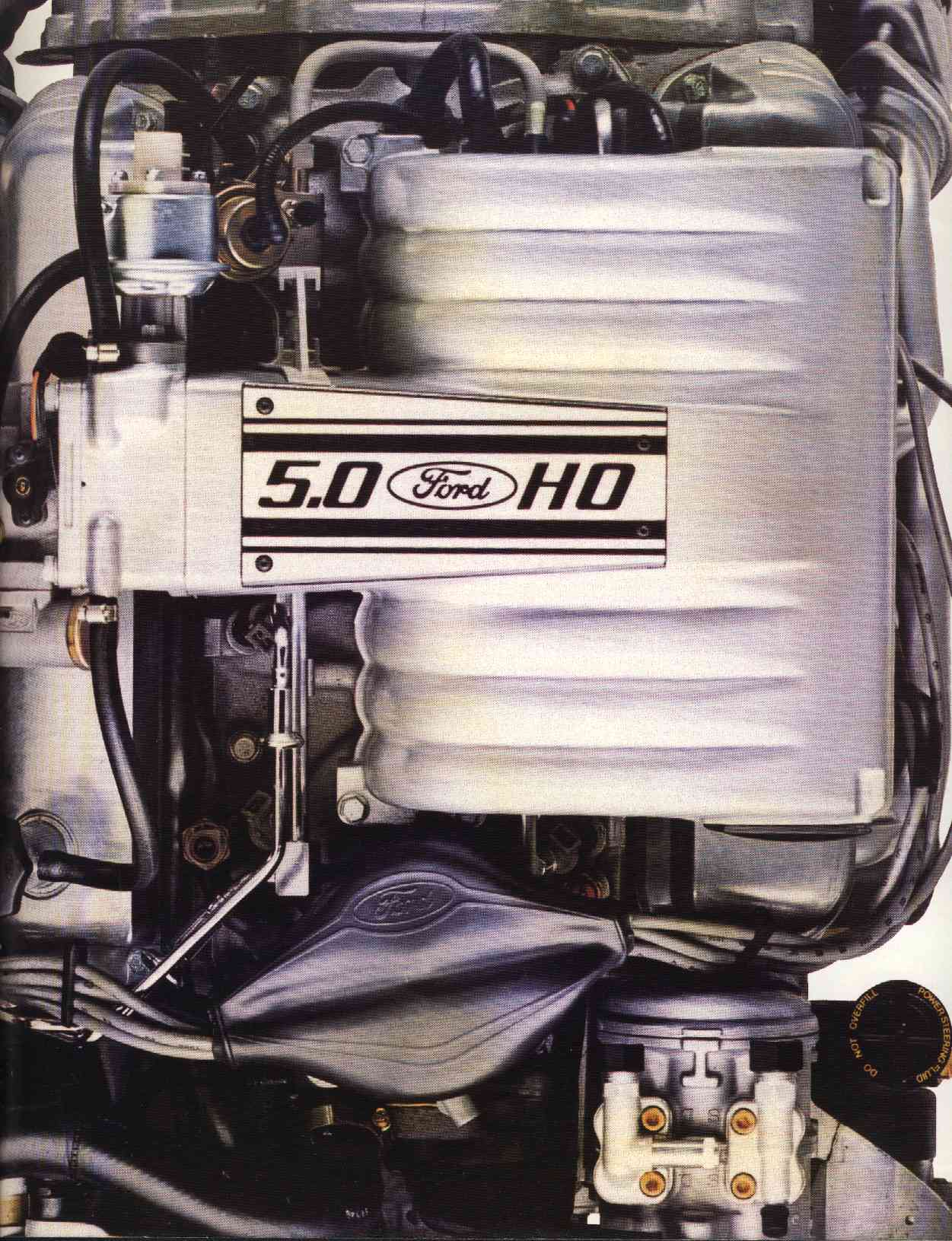 50HO.jpg (199875 bytes)
