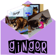 Ginger