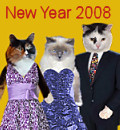 New Year 2008