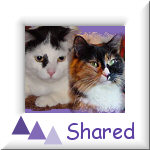 Shared Albums