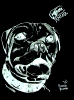 Pit Bull Dog