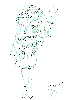 Tiki Girl