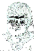 Roy Orbison