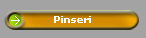 Pinseri