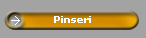 Pinseri