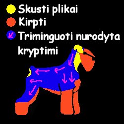 Trimingo schema