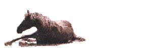 anroll