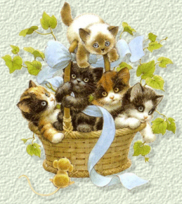 cutepic