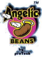 beanlogoSM.gif (16564 bytes)