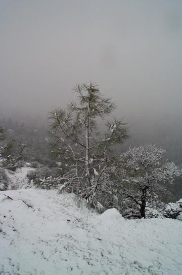 Bidwell Park Snow