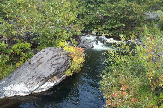 Big Chico Creek