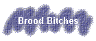 Brood Bitches