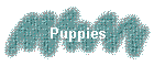 Puppies