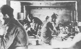 gulometvozen_2.jpg (49712 bytes)