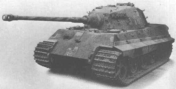 tiger2_1.jpg (10417 bytes)