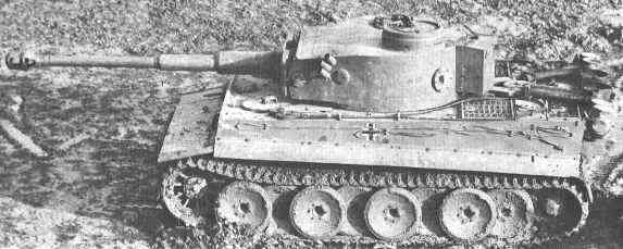 tiger_2.jpg (20385 bytes)