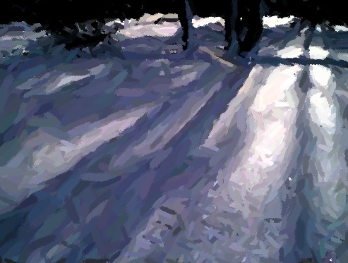 Shadows
