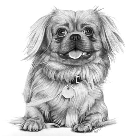 Doggie