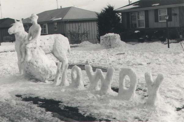 snow horse