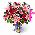 Gift From