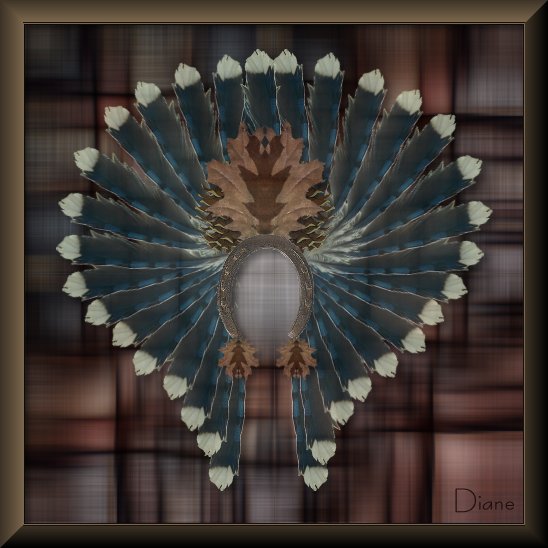 War Bonnet