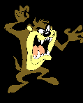 Taz!
