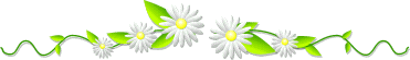 Daisies GIF