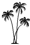 palm tree (4520 bytes)