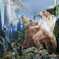 Bears
