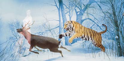 Tiger the hunter