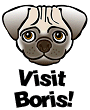 boris.gif (5475 bytes)