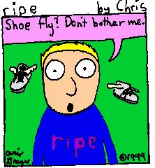Shoe Fly