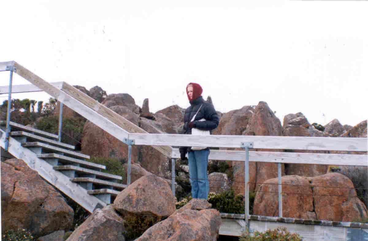 wendyonmtwellington.jpg