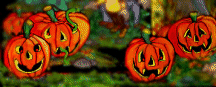 pumpkinsinpatch1