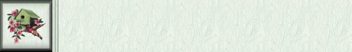 Hummingbird Background Set Three!