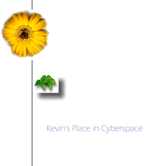 Kevin's Place in Cyberspace