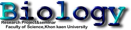 BIO KKU logo